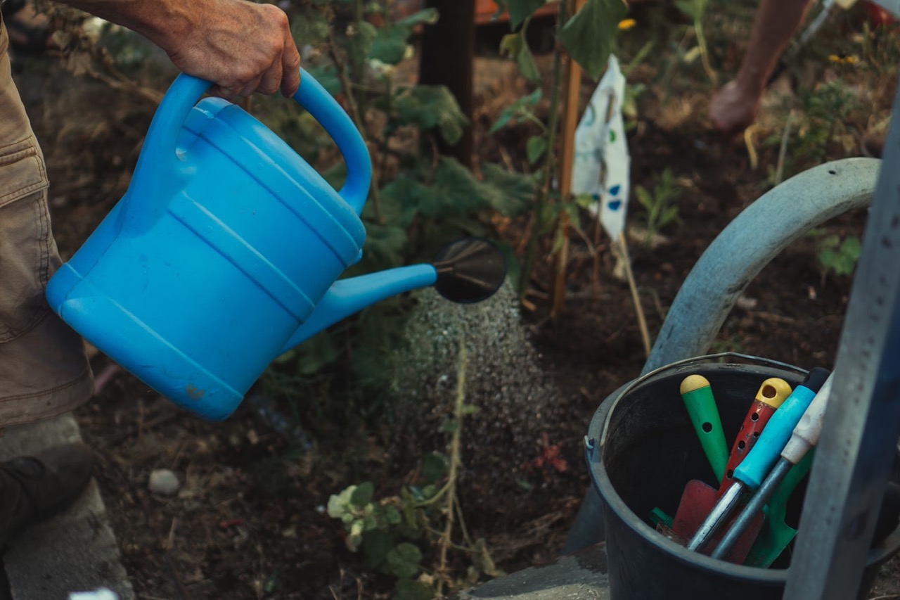 blue watering can