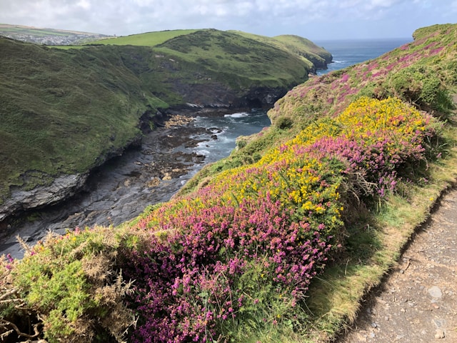 south west coastal path
