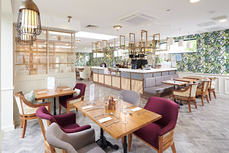 Platinum Skies Chapters Bistro