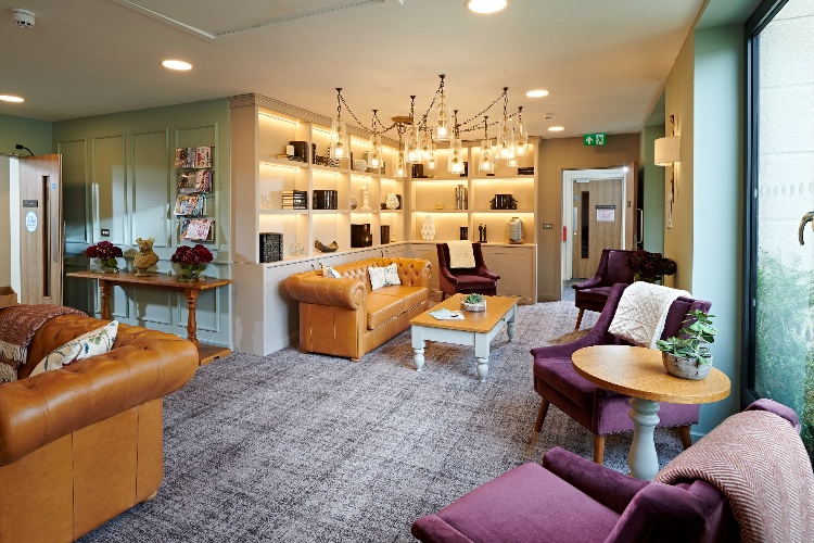 Platinum Skies library