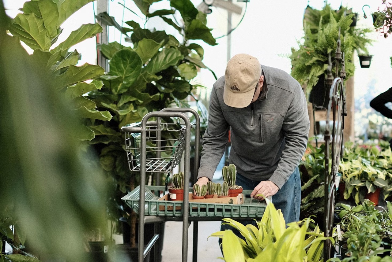 senior man putting new plants onto a trolly