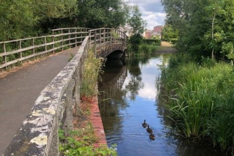 Queen Elizabeth Gardens