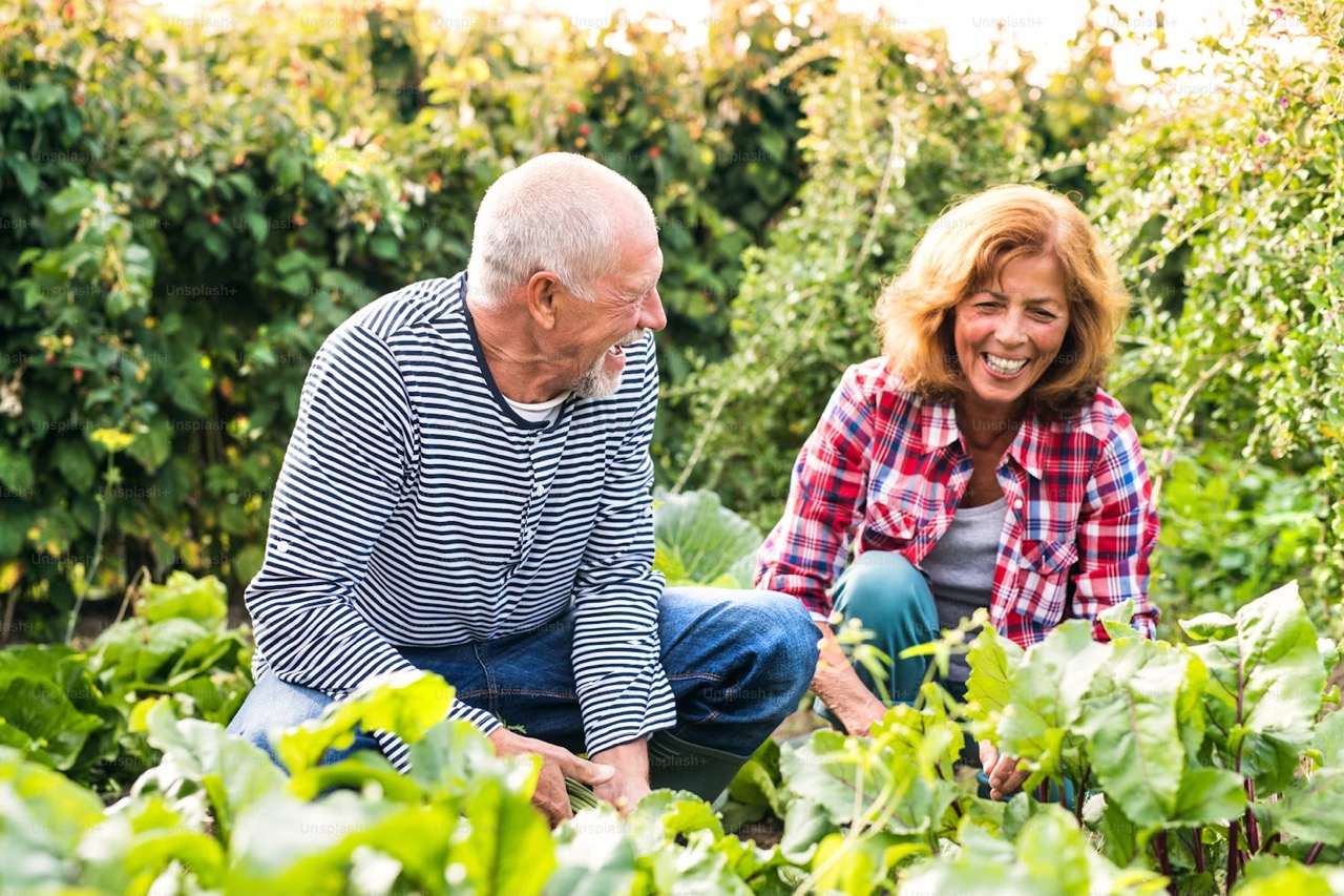senior couple smiling together whilst gardening