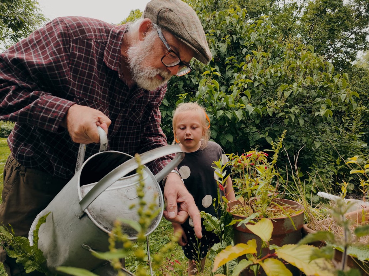 elderly man and granddaughter watering plants