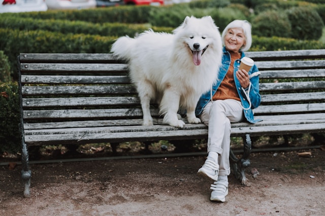 elderly woman sitting on bench with white fluffy dog smiling