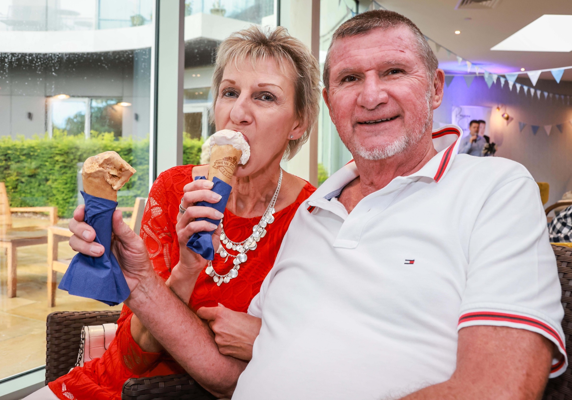 vista party ice cream